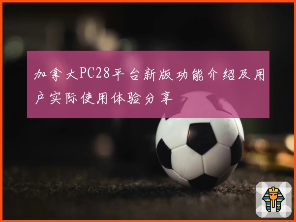 加拿大PC28平台新版功能介绍及用户实际使用体验分享