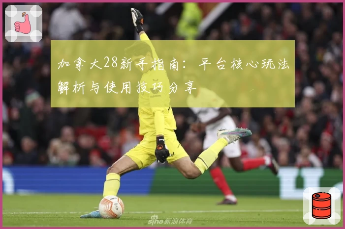 加拿大28新手指南：平台核心玩法解析与使用技巧分享