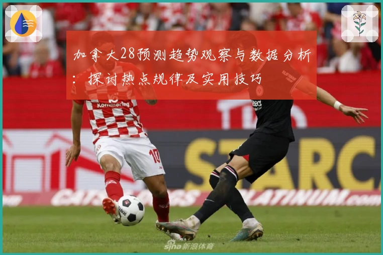 加拿大28预测趋势观察与数据分析：探讨热点规律及实用技巧