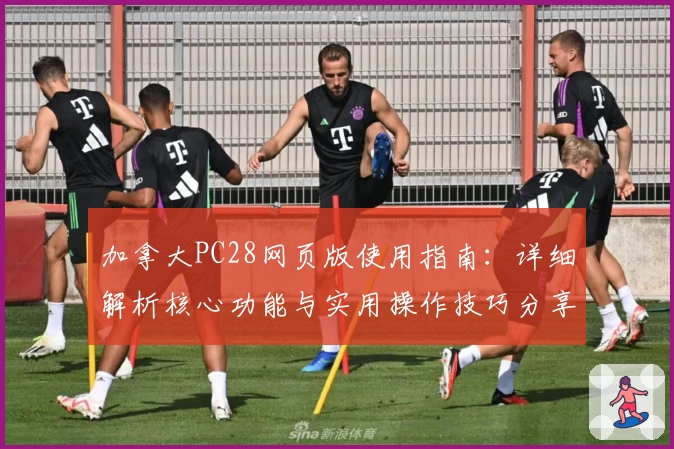 加拿大PC28网页版使用指南：详细解析核心功能与实用操作技巧分享