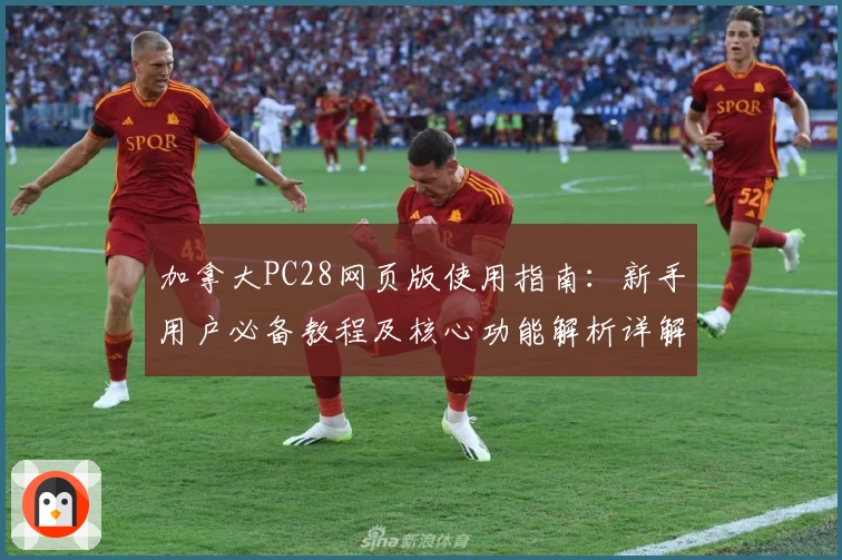 加拿大PC28网页版使用指南：新手用户必备教程及核心功能解析详解