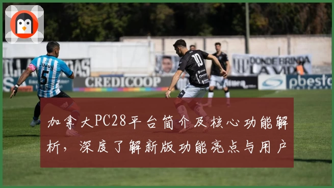 加拿大PC28平台简介及核心功能解析，深度了解新版功能亮点与用户实际使用体验