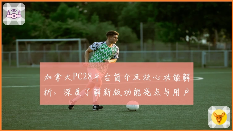 加拿大PC28平台简介及核心功能解析，深度了解新版功能亮点与用户实际使用体验