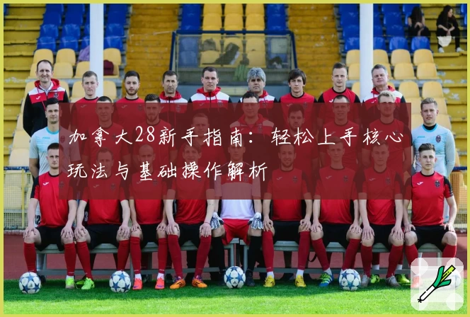 加拿大28新手指南:轻松上手核心玩法与基础操作解析