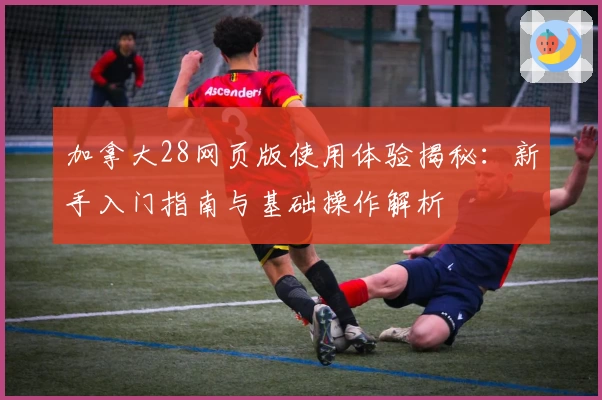 加拿大28网页版使用体验揭秘：新手入门指南与基础操作解析
