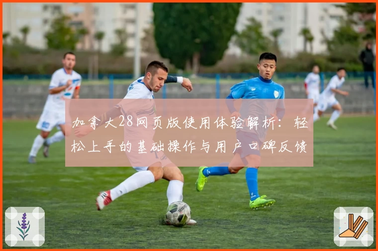 加拿大28网页版使用体验解析：轻松上手的基础操作与用户口碑反馈