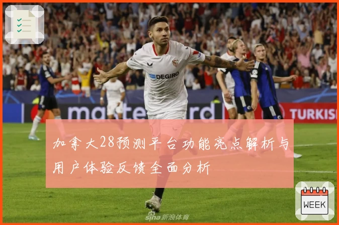 加拿大28预测平台功能亮点解析与用户体验反馈全面分析